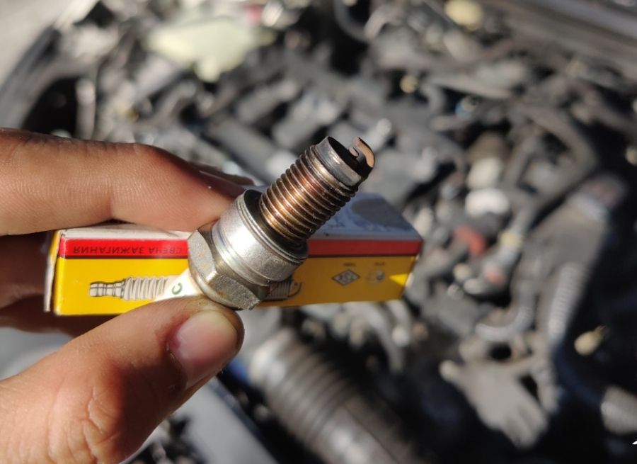 Maintenance Tips For Longevity